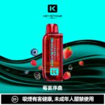 KEYSTONE  FLEX-3 鑰石 25000口 專彈專機套裝｜大容量續航・台灣現貨：圖片 4